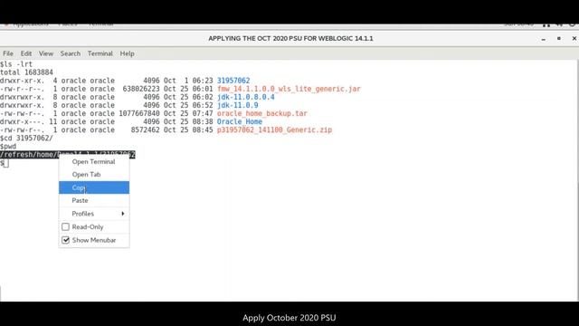 [WLS 14c] Steps to apply October 2020 PSU on WebLogic Server смотреть онлайн