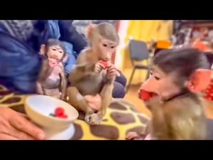 Влад нашел как сдружить Люсю, Степу и Маню-КЛУБНИКОЙ! Люська включает ЯЖЕМАТЬ)))