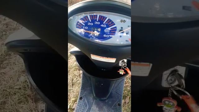 как должен работать HONDA DIO 57 инжектор водяное охлаждения смотреть онлайн