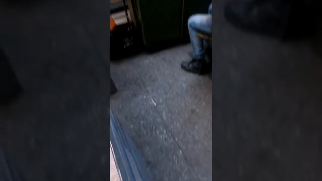 Собака напала на кошку..ух.. смотреть онлайн