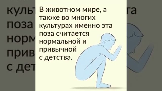Как садится на унитаз? смотреть онлайн