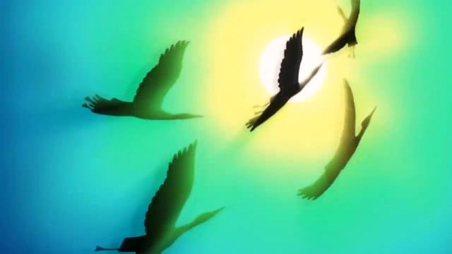 Заставка из программы В Мире Животных с Николаем Николаевичем Дроздовым смотреть онлайн