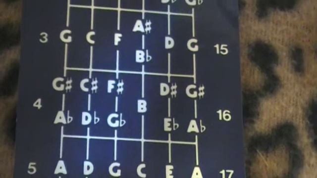 Notes on a guitar neck смотреть онлайн