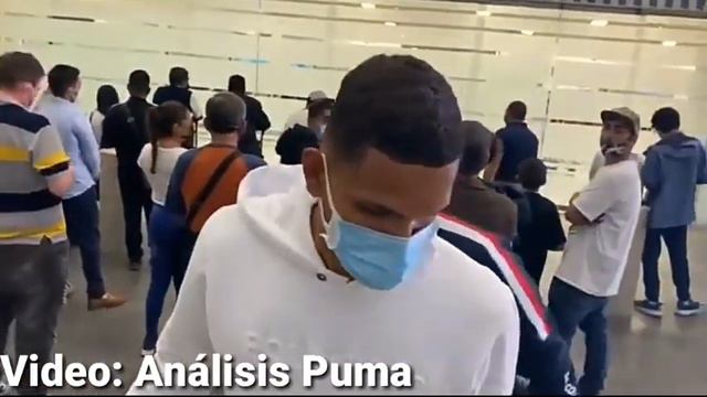 ¡Ya están los 4 refuerzos de Pumas! Vuelve el Chispa Velarde смотреть онлайн