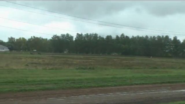 Нижегородский ипподром. 30 августа. Приз Талантливого смотреть онлайн