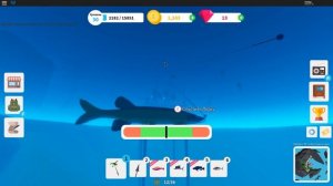 СИМУЛЯТОР РЫБАЛКИ в РОБЛОКС!  Fishing Simulator Roblox