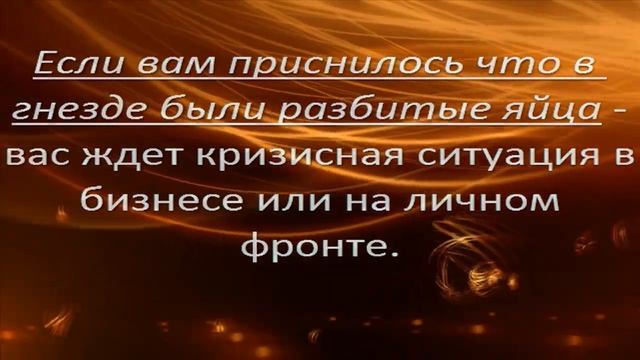 Сонник гнездо во сне толкование сна смотреть онлайн