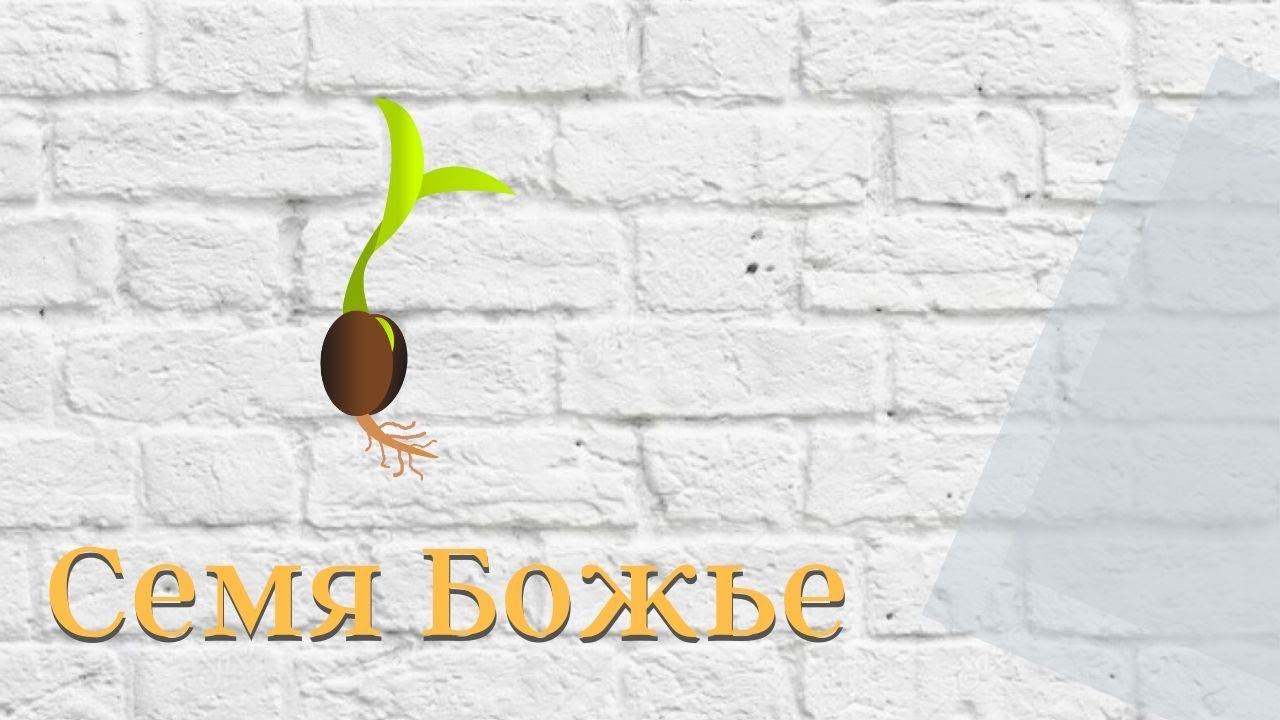 Семя Божье смотреть онлайн