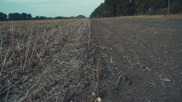 Важкий дисковий лущильник ЛДТ-6 осіння обробка після збирання соняшника