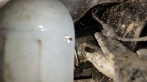 #4 JAC T6: где расположены номера двигателя и рамы