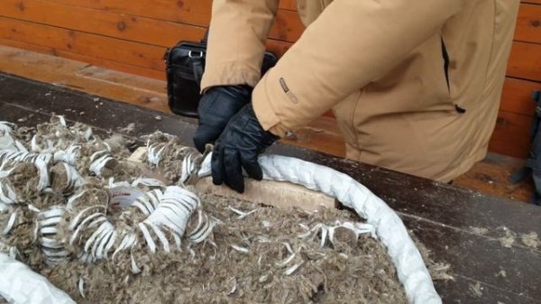 Рез каната тест ножа ASP2060 мастер Дмитрий Андронов