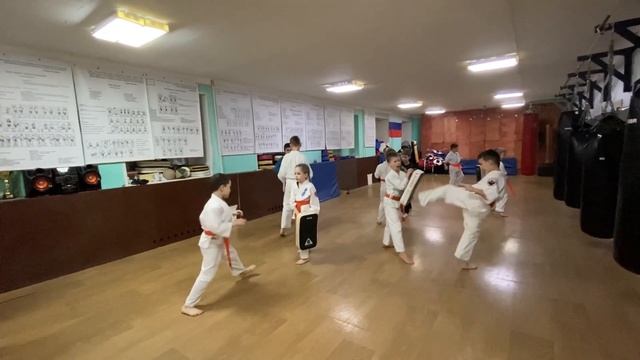 Тренировка средней группы 25 февраля 2022 года. Киокусинкай каратэ в Климовске на Западной 12. смотреть онлайн