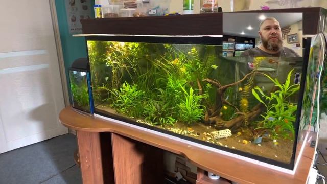 Влог 10. Дионис Король: Экзотариум Елабуги смотреть онлайн