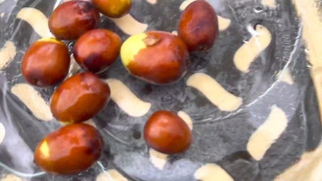 Плоды зизифуса сорта Конфетный , Киевская область. смотреть онлайн