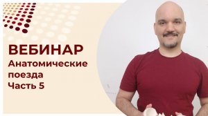 Анатомические поезда. Часть 5