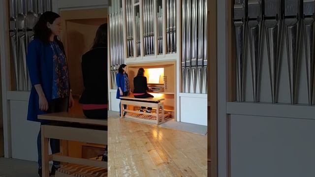 Орган. Борисова Анастасия. Э. Босси "Симфонический этюд" смотреть онлайн