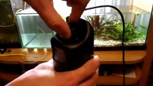 Как правильно ухаживать за аквариумом и рыбками