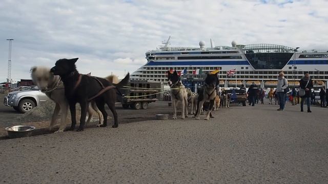 Малыш посреди ночи выбирается из своей кровати, чтобы спать на полу в обнимку с лучшим другом смотреть онлайн