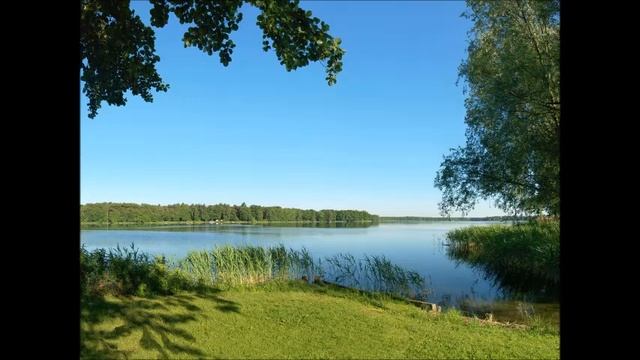 Бальмонт "Я изысканность русской медлительной речи" смотреть онлайн