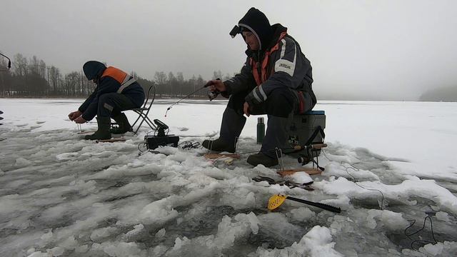 Латгальская Корюшка(Снеток)! Геранимовас Илзас. смотреть онлайн