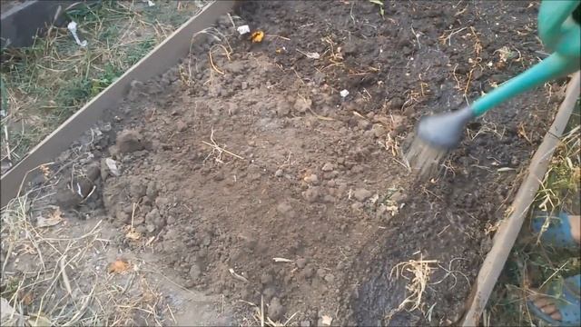 Как обеззаразить почву от грибковых заболеваний после сбора урожая. смотреть онлайн