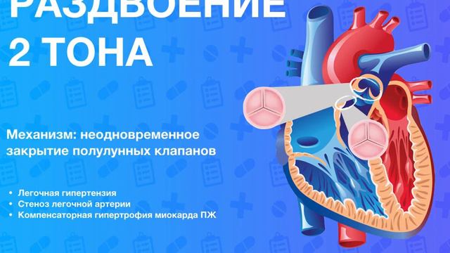 тоны сердца и их изменения при патология смотреть онлайн