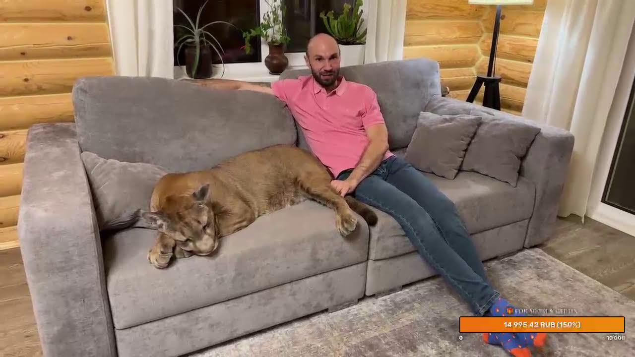 Прямой эфир. 17 марта смотреть онлайн