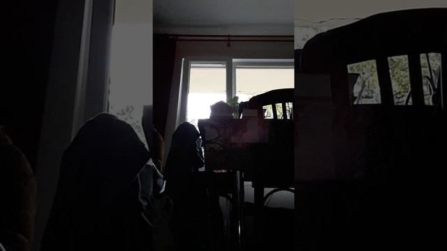 talk about, Meru the Sucubus OVA 4 смотреть онлайн