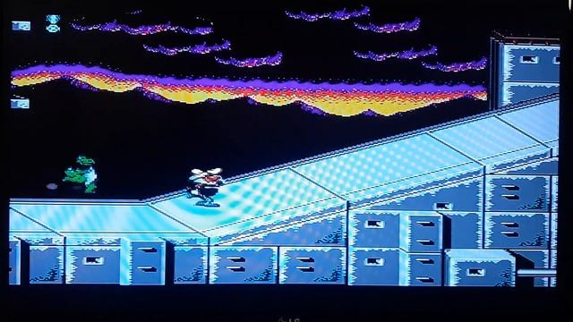 Картриджи денди с Авито по 100 руб. смотреть онлайн