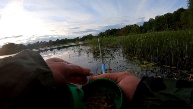 ЛОВИМ КРУПНОГО ЛИНЯ НА ПОПЛАВОК НА ВЕЧЕРНЕМ ЗАКАТЕ.Рыбалка после подготовки места удочка в дугу