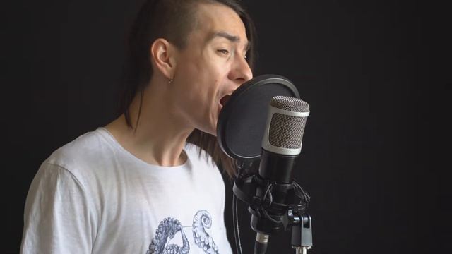 Three Days Grace - Never Too Late (acoustic guitar / vocal cover by Dmitry Klimov) смотреть онлайн