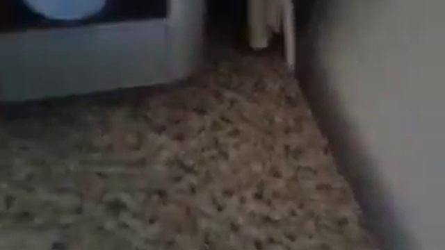 Мат улитки смотреть онлайн