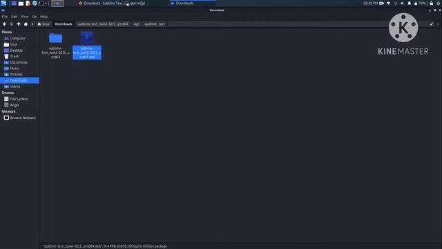 Download and Installation of Sublime Text in Kali Linux 2021.2 смотреть онлайн