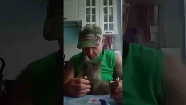 На обзор пирожное бисквитное с кремом с цельным молоком из магазина магнит ем с аппетитом смотреть онлайн