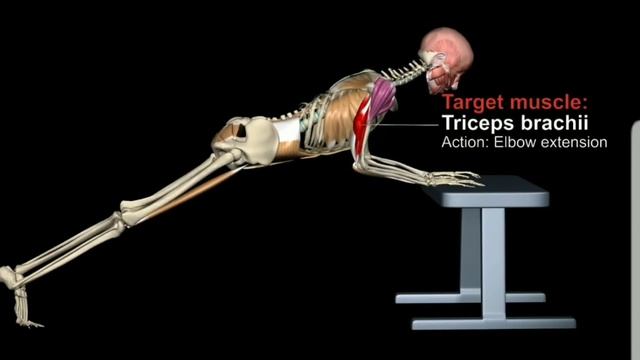 жим от скамьи на трицепс, техника смотреть онлайн