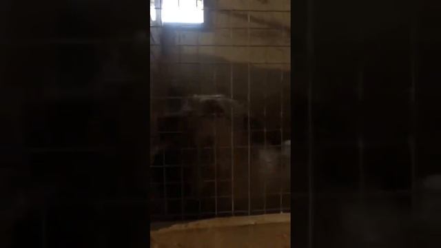 Наши ласкуши смотреть онлайн