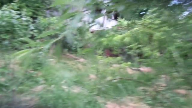 Эпидемия тли в садах и дураков на ЮТубе. Что делать? смотреть онлайн