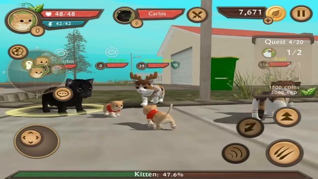 Cat Sim Online: Play With Cats - Cute Baby Kitten - Android / IOS - Gameplay Episode 3