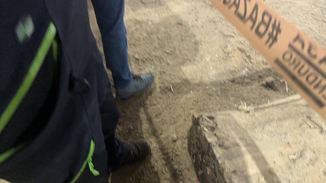 Питер спб стадион смотреть онлайн