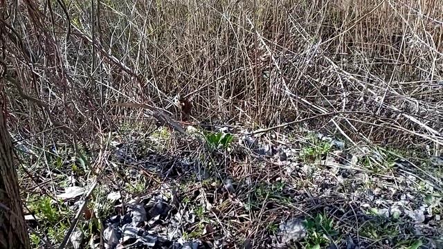 Выпуск пастушка, 2020 смотреть онлайн