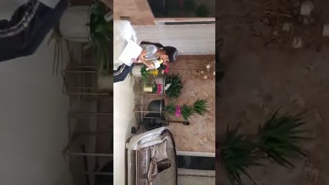 Самая Лучшая Мама Земли смотреть онлайн