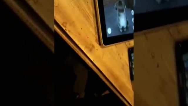 IPad против iPhone смотреть онлайн