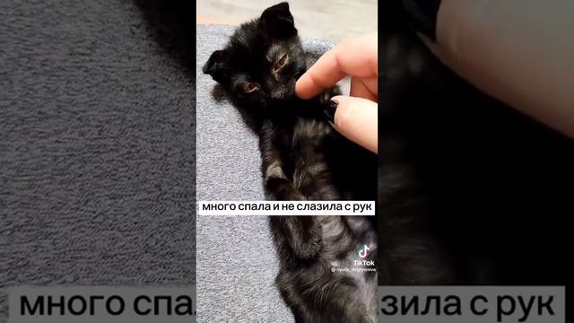 repost#tiktok спеши делать добро🕊 смотреть онлайн