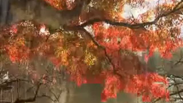 музыка для души смотреть онлайн