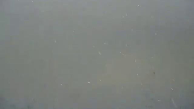 Снег в Борисовке / Snow in Borisovka смотреть онлайн