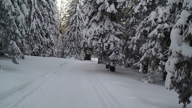 Cross-country skiing: Rogla, Slovenia смотреть онлайн