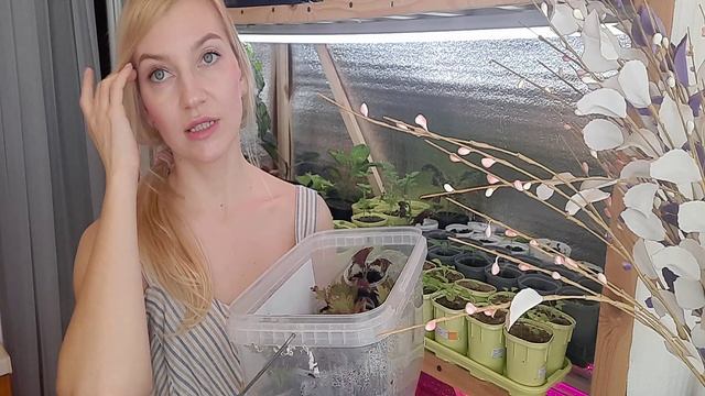 О РАССАДЕ С ЛЮБОВЬЮ/СЕЮ ЦВЕТЫ смотреть онлайн