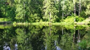 Звуки леса, для сна, медитации, релаксации, фон, Relax 1 час
1 Hour Relaxing Nature Sounds