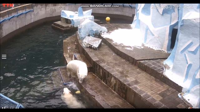 Мамочка Герда воспитывает своих детей 07.09.2020 смотреть онлайн