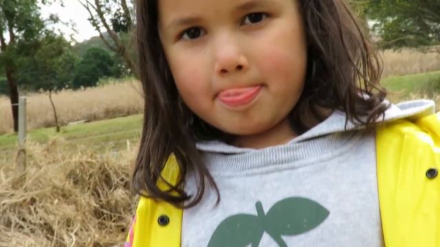 BUG HUNT THE MOVIE REAL BUGS ZOE FINDS REAL INSECTS OUTSIDE смотреть онлайн